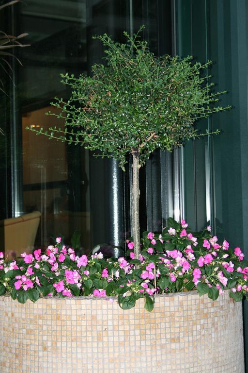 La Perla B&B Hotel Roseto Degli Abruzzi Eksteriør billede